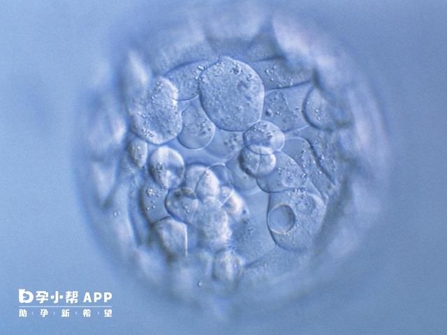 5CB囊胚质量和4BC囊胚质量差不多