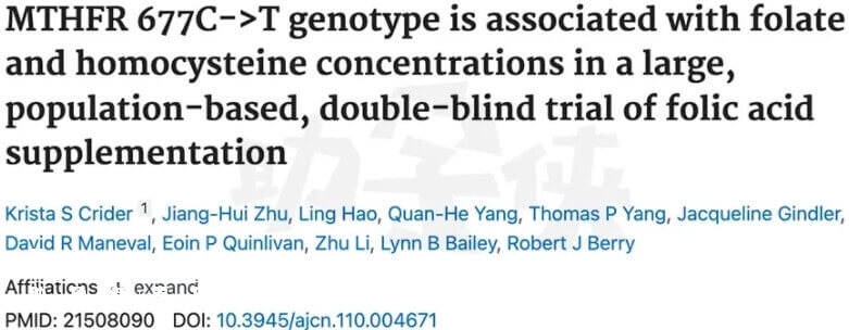 叶酸基因型多态性具有种族和地域差异性