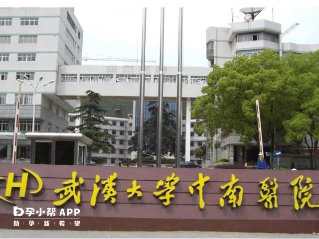 武汉大学中南医院移植妊娠率达到60%